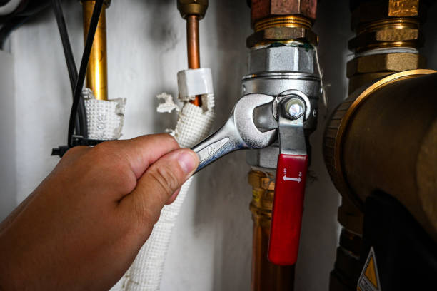 Best Local Plumber Services  in South Windham, CT